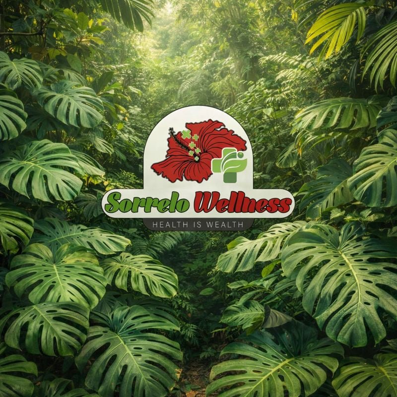 Detox Binder - Sorrelo Wellness