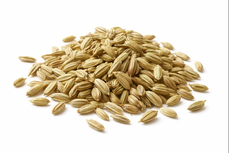 <h4><strong>Fennel</strong></h4>