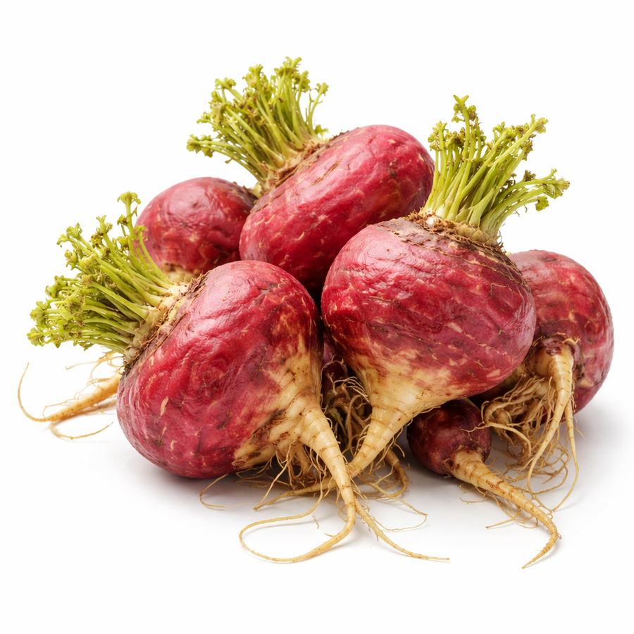 Red Maca Root