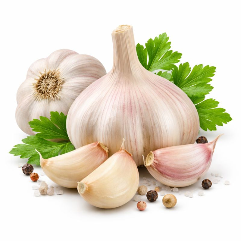 <h4><strong>Garlic</strong></h4>
