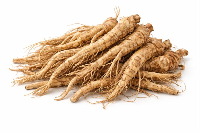 Hydrangea Root