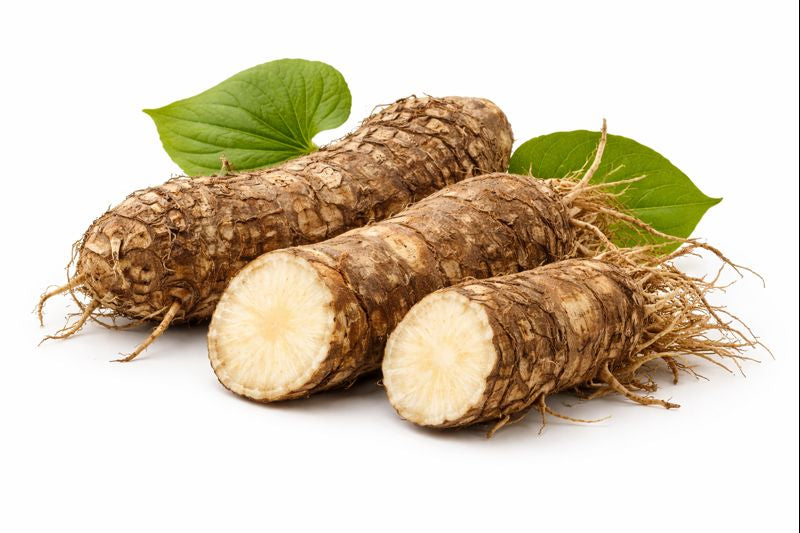 Kava Kava
