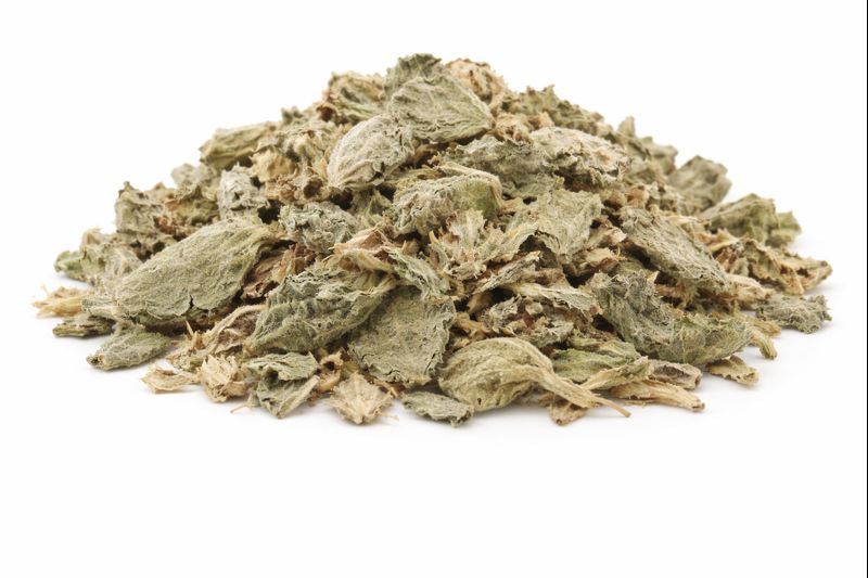 Mullein Leaf