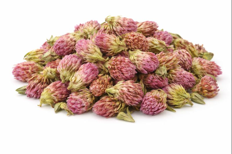 Red Clover
