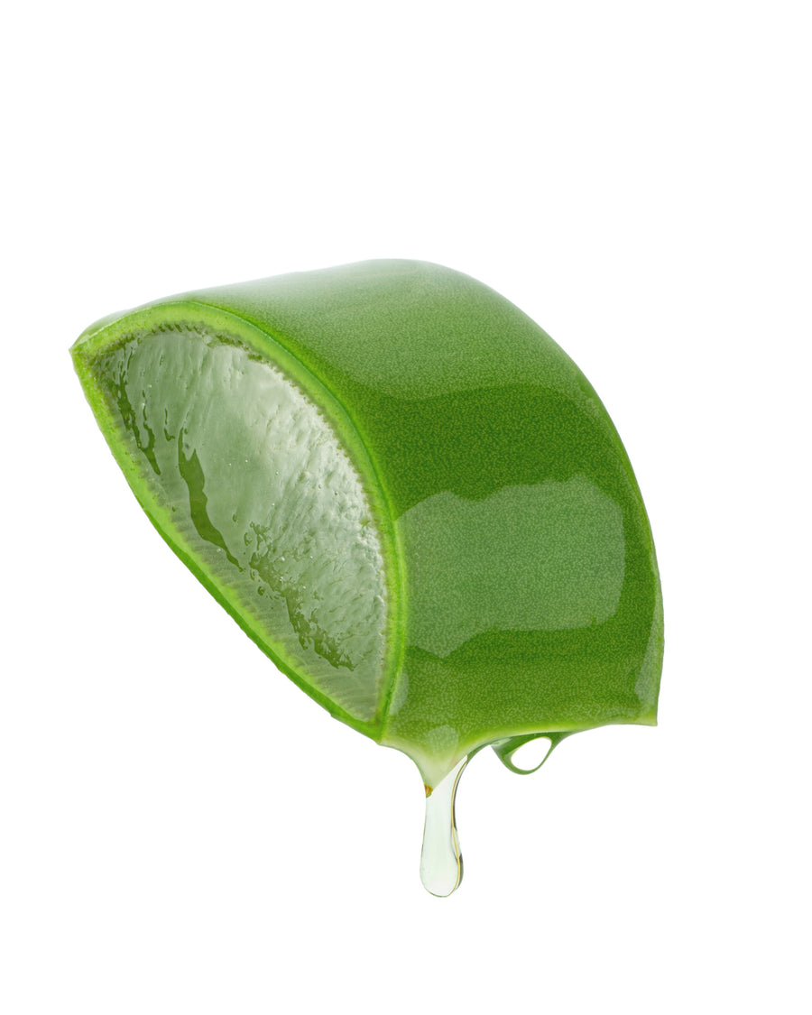 Aloe